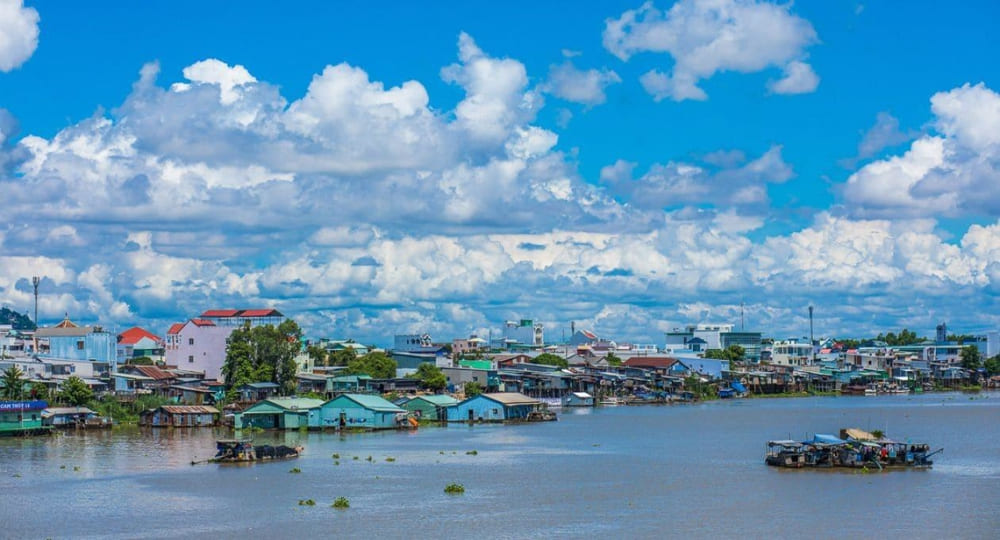 Mekong Delta’s wetlands are perfect for birdwatching and spotting wildlife